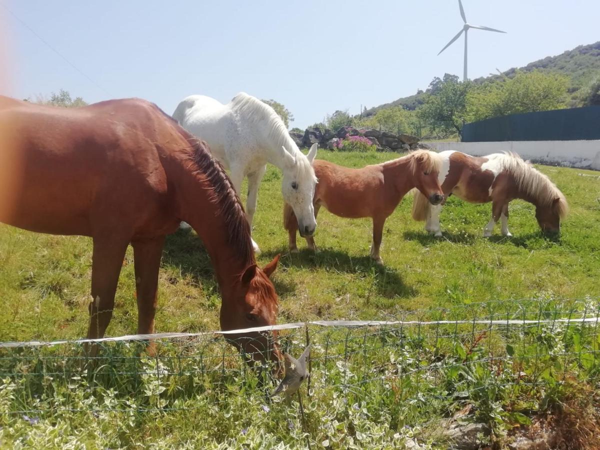 Casinha De Campo- Quintinha Dos Cavalos- Arruda Dos Vinhos Exterior photo